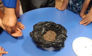 photo 2025 11 12 11 10 01 روییدن امید در دل کودکان با کارگاه کتاب‌خوانی «باغ بیدار» در دارالاکرام خمین