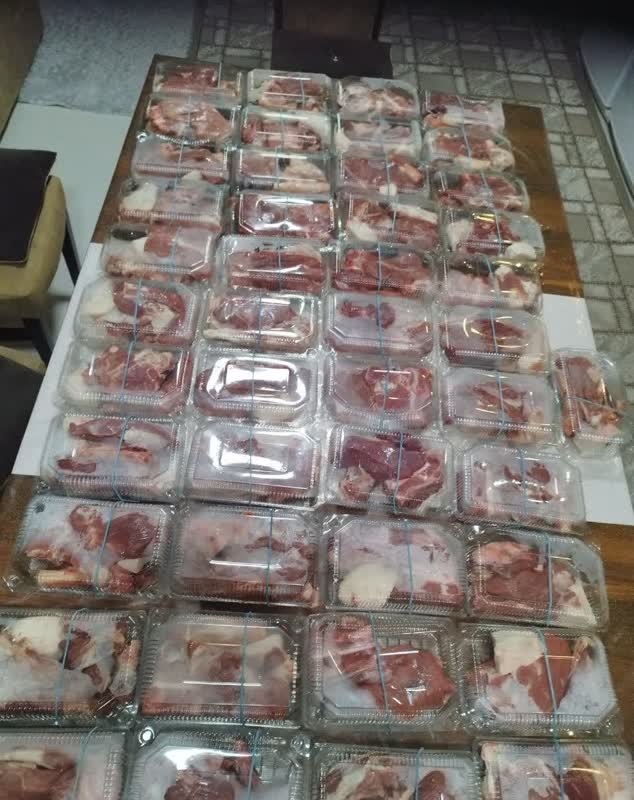 Untitled برگزاری آخرین کارگاه تابستانه کتاب‌خوانی «باغ بیدار» در دارالاکرام گرگان